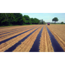 Film for Mulching Potatoes 0.5m x 1000m 30 microns for 1 year BLACK